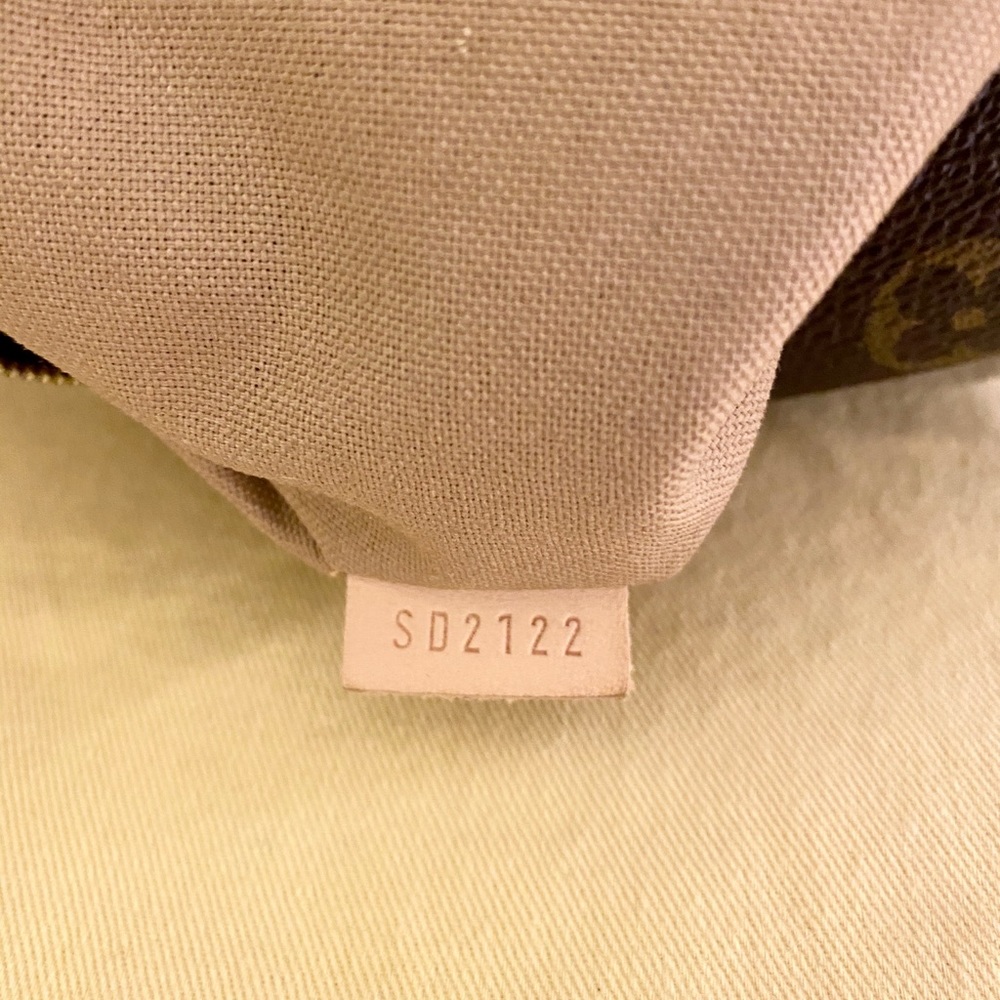 Authentic Louis Vuitton ‘Delightful’ PM Tote - Picture 16 of 16